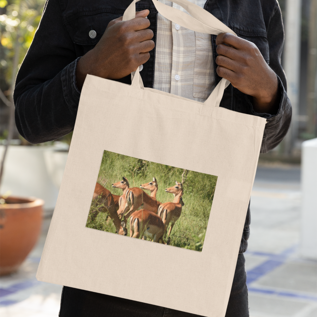 Karibu mbuga-(Bienvenido al parque)